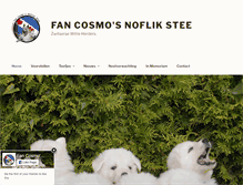 Tablet Screenshot of noflikstee.com